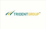 trident-group ims